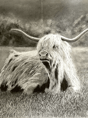 Highland Longhair