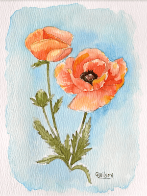 California Poppies Watercolor Painting Kit (5x7)